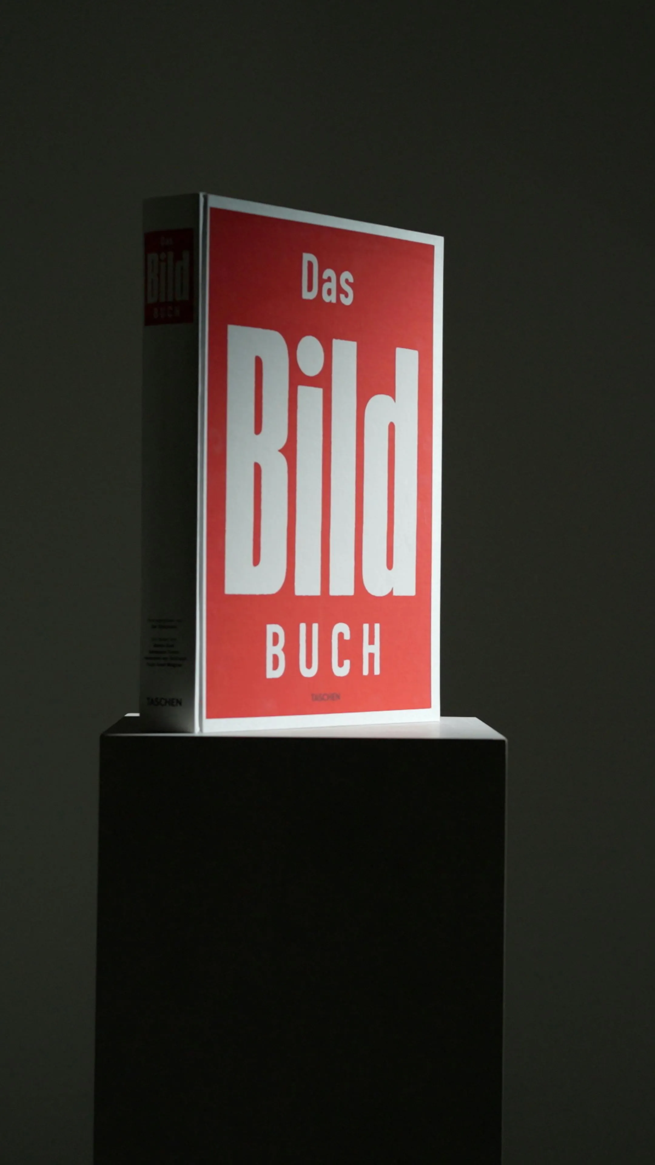 Das BILD Buch